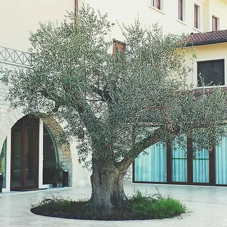 Il Triclinio Del Fauno Benevento